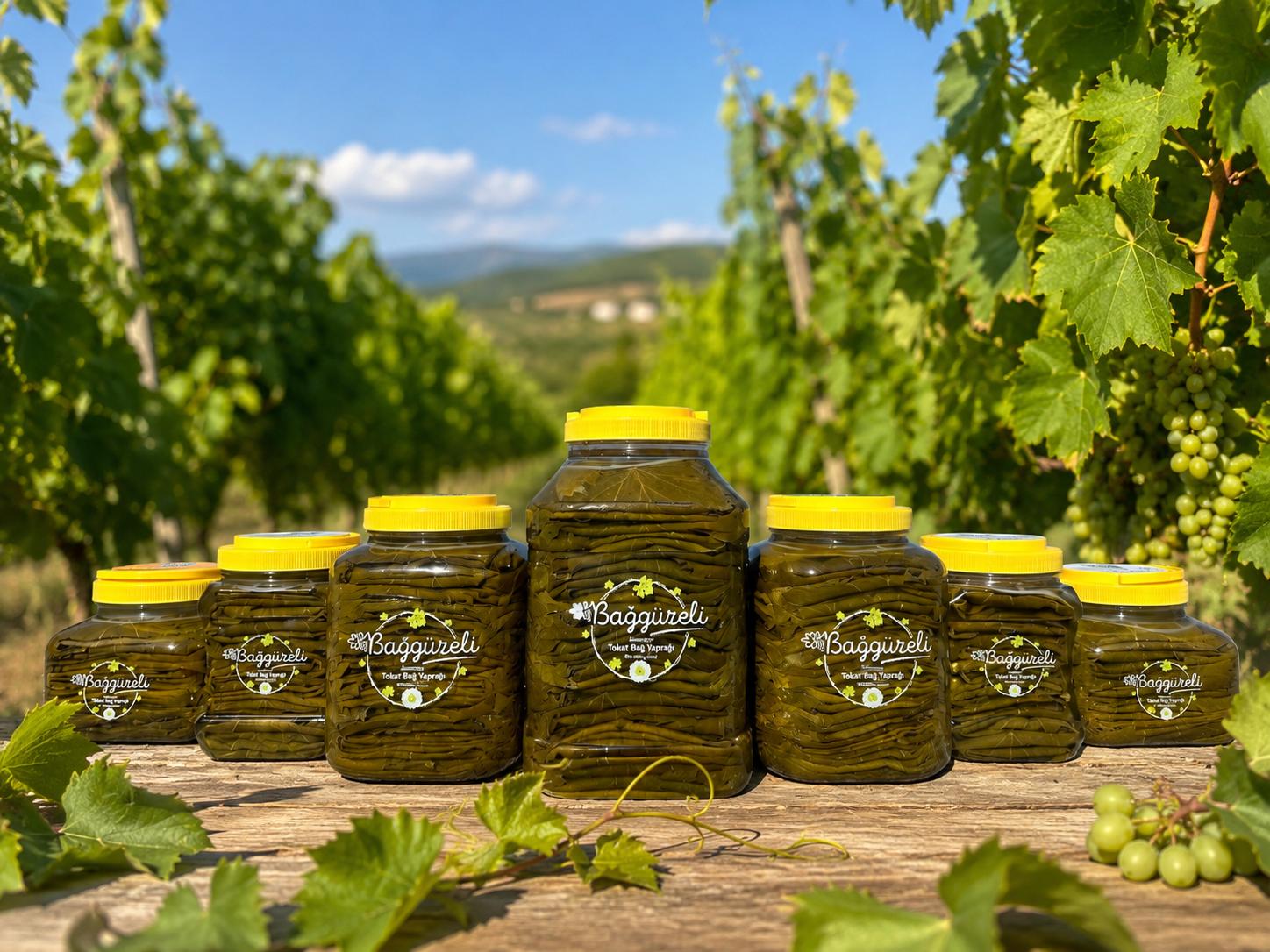 Tokat Bağ Yaprağı 3000g - Görsel 3